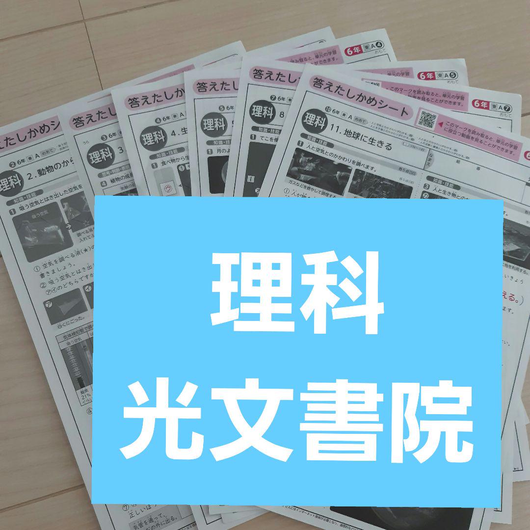 小学校6年 令和6年度 カラーテスト 答えたしかめシート - メルカリ