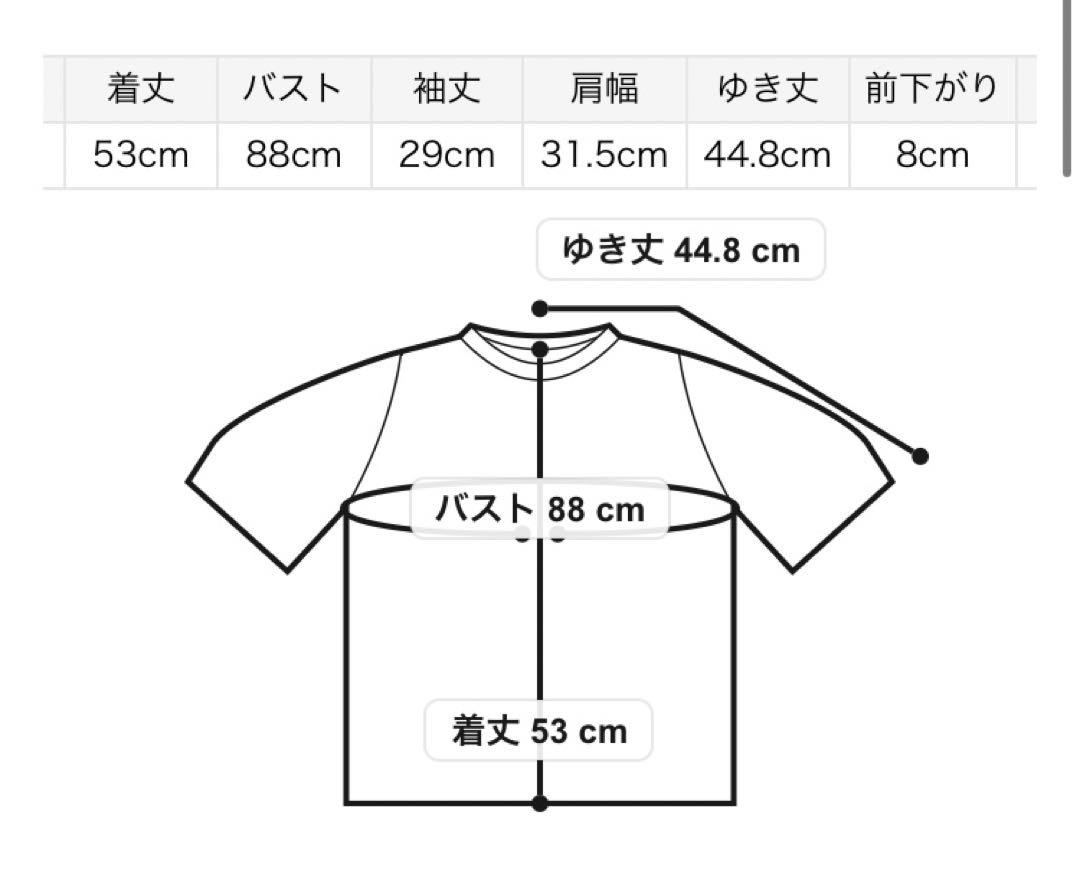 CELFORD アシンメトリーソフトポンチトップス F GRY 新品未使用