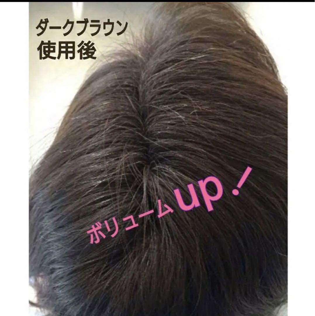 薄毛増毛ふりかけパウダー詰め替え用2個 脱毛症分け目白髪