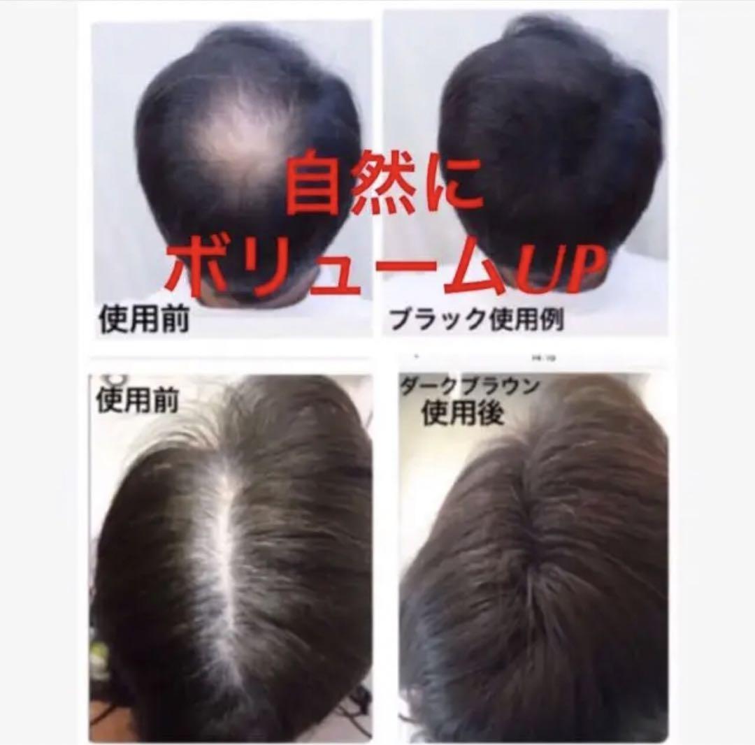 薄毛増毛ふりかけパウダー詰め替え用お得4個セット脱毛症分け目白髪かくしハゲ隠し 薄毛増毛ふりかけパウダー詰め替え用2個 脱毛症分け目白髪