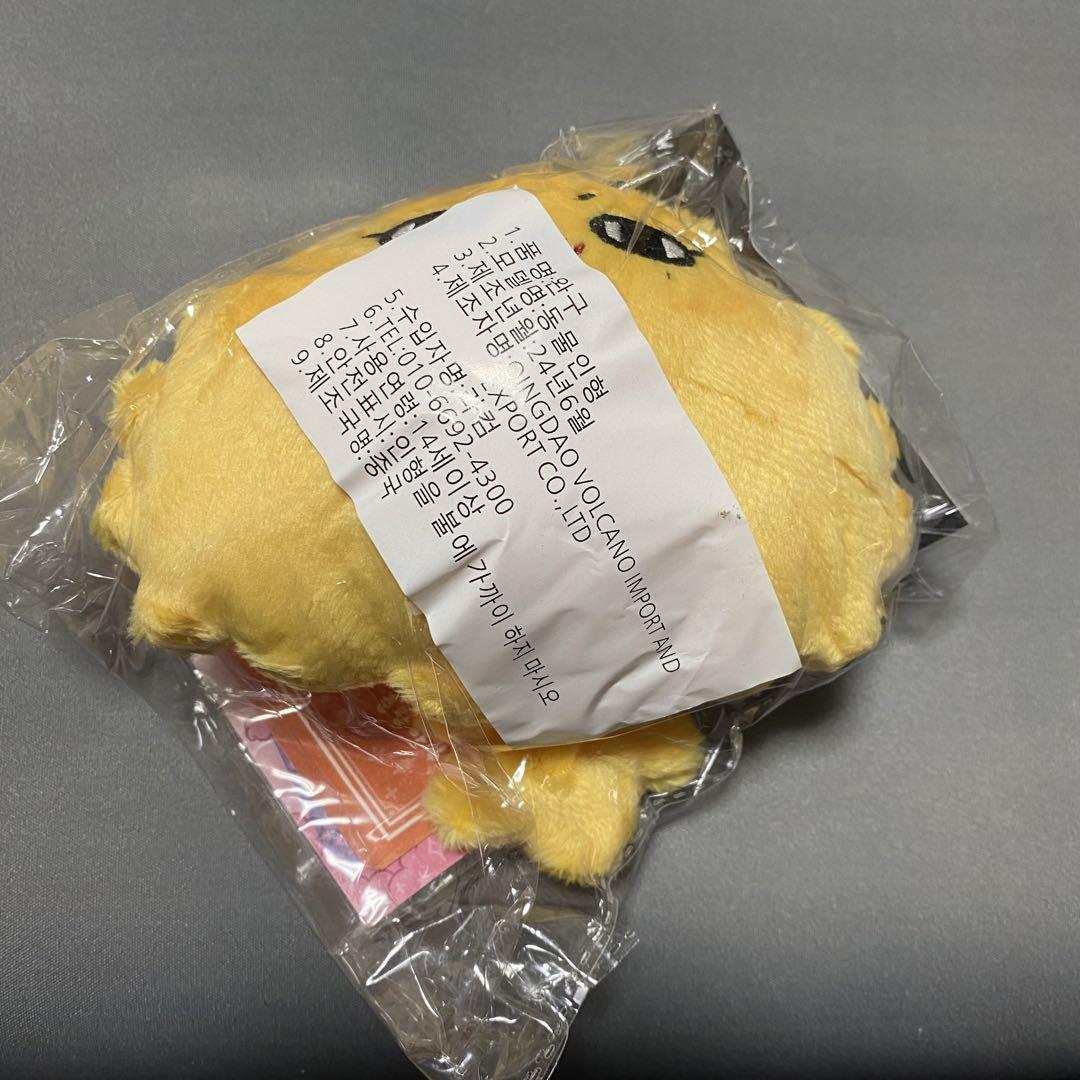 ジュン　ぬいぐるみ　10cm マスター　セブチ　svt 新品