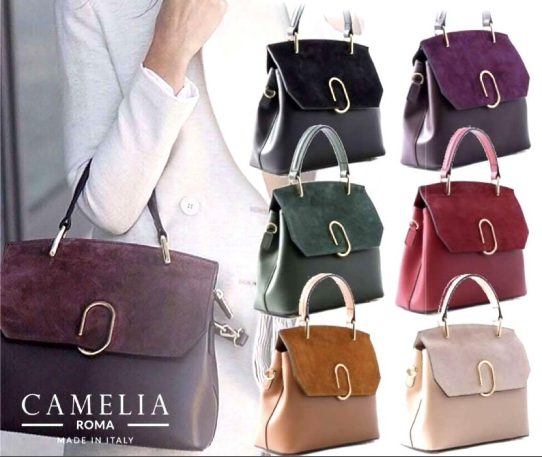 関税送料込み☆CAMELIA ROMA☆レザー&スエードハンドバッグ CAMELIA ROMA☆レザー&スエードハンドバッグ