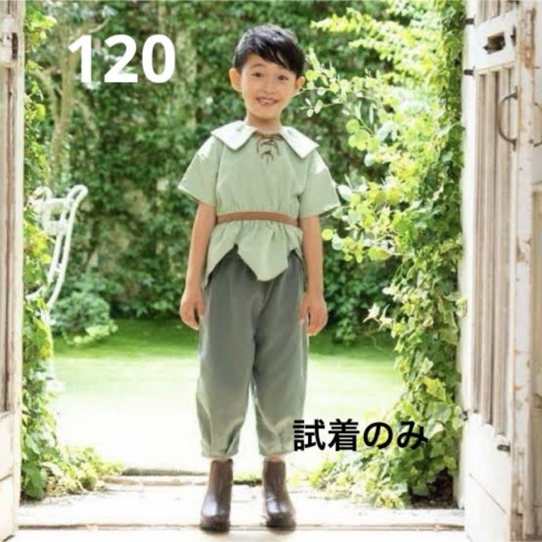 コトリ ディズニー バースデイ ピーターパン 120cm - メルカリ