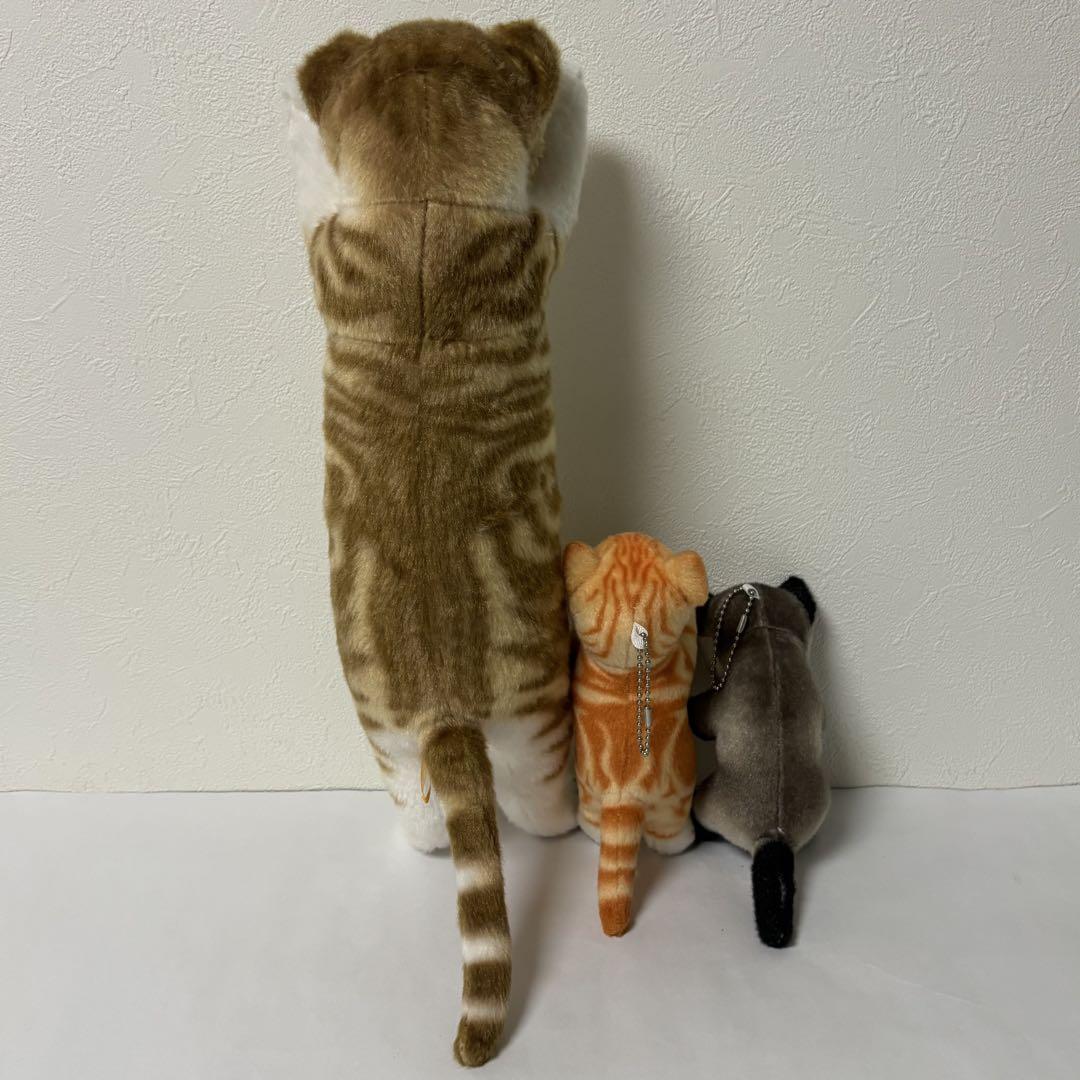 リアル猫 リアルアニマル猫つまんでマスコットBC 猫ぬいぐるみ