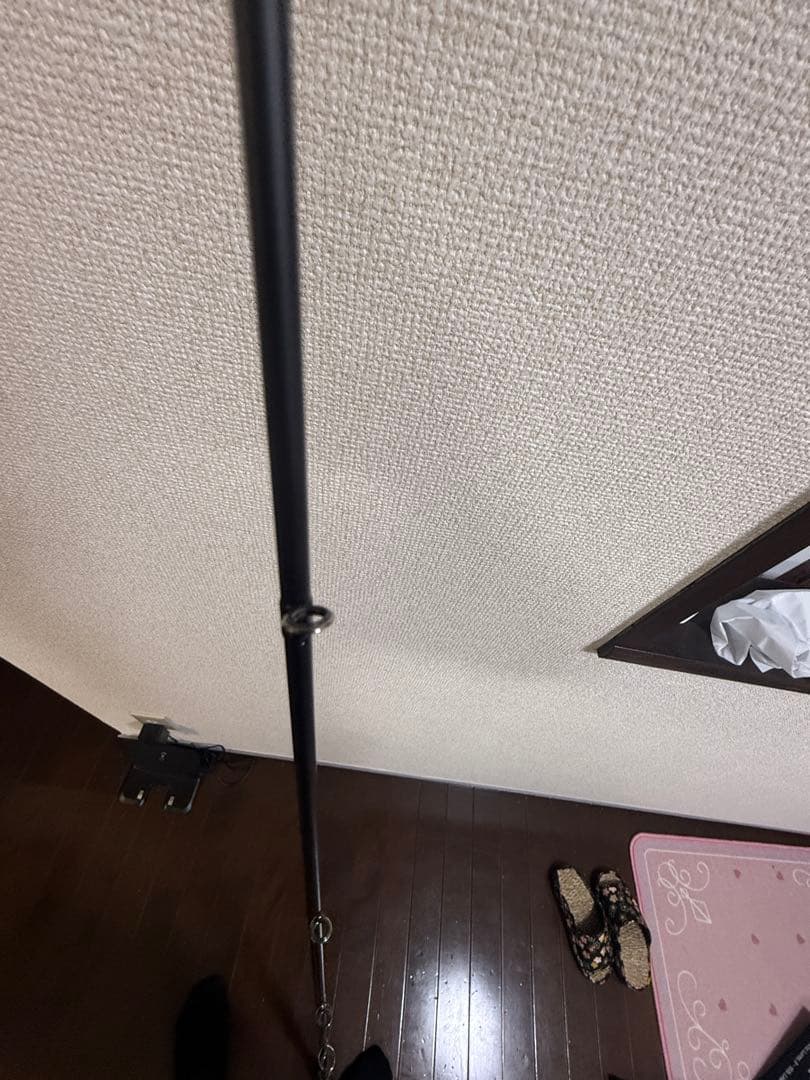 エバーグリーン カレイド インスピラーレ コブラDG エバーグリーン カレイド インスピラーレ コブラDG