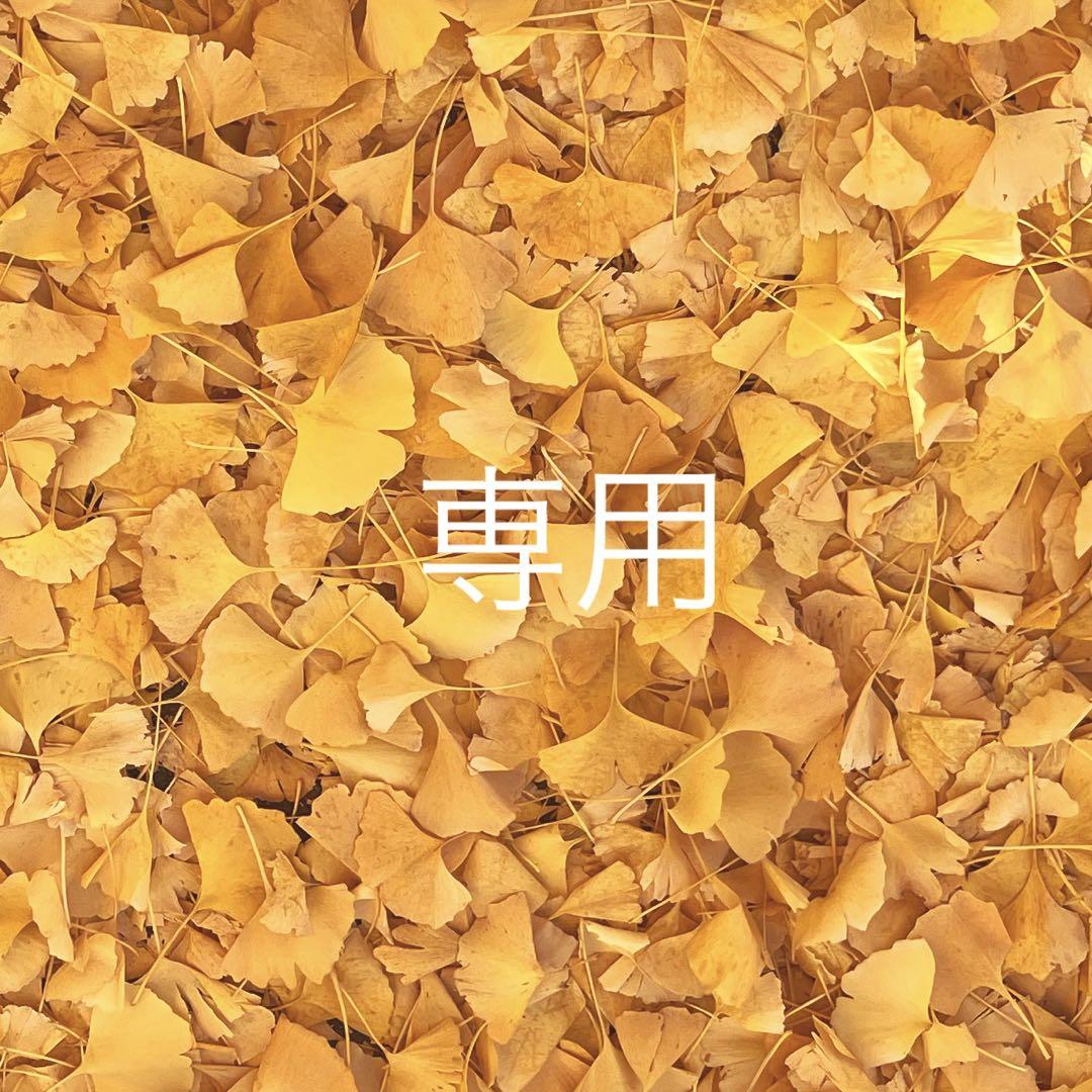専用　売約済み
