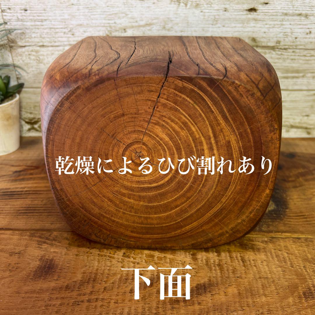 丸太オブジェ（欅） 輪切り 花台 丸太 自然木 ディスプレイ台