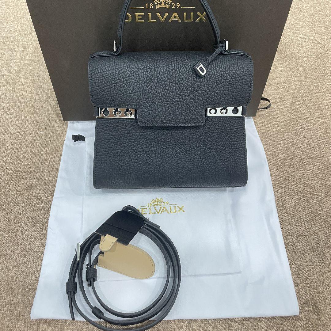 美品 デルヴォー PM ハンドバッグ 画像1