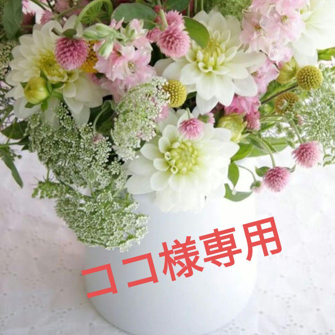 A11☆特選一品☆大人気☆天使の石【ブラジル産アクアマリン『緑