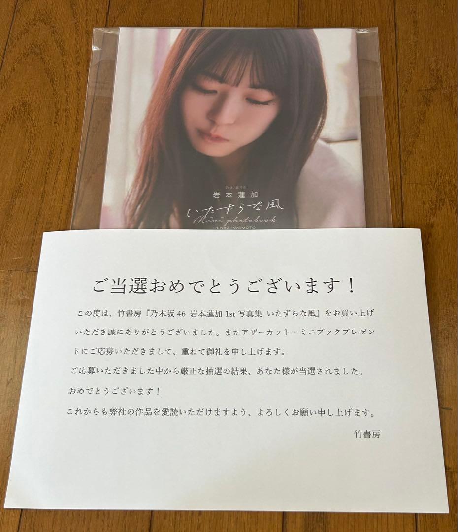 乃木坂46 岩本蓮加 1st写真集 いたずらな風 アザーカットミニブック 当選品タレント写真集