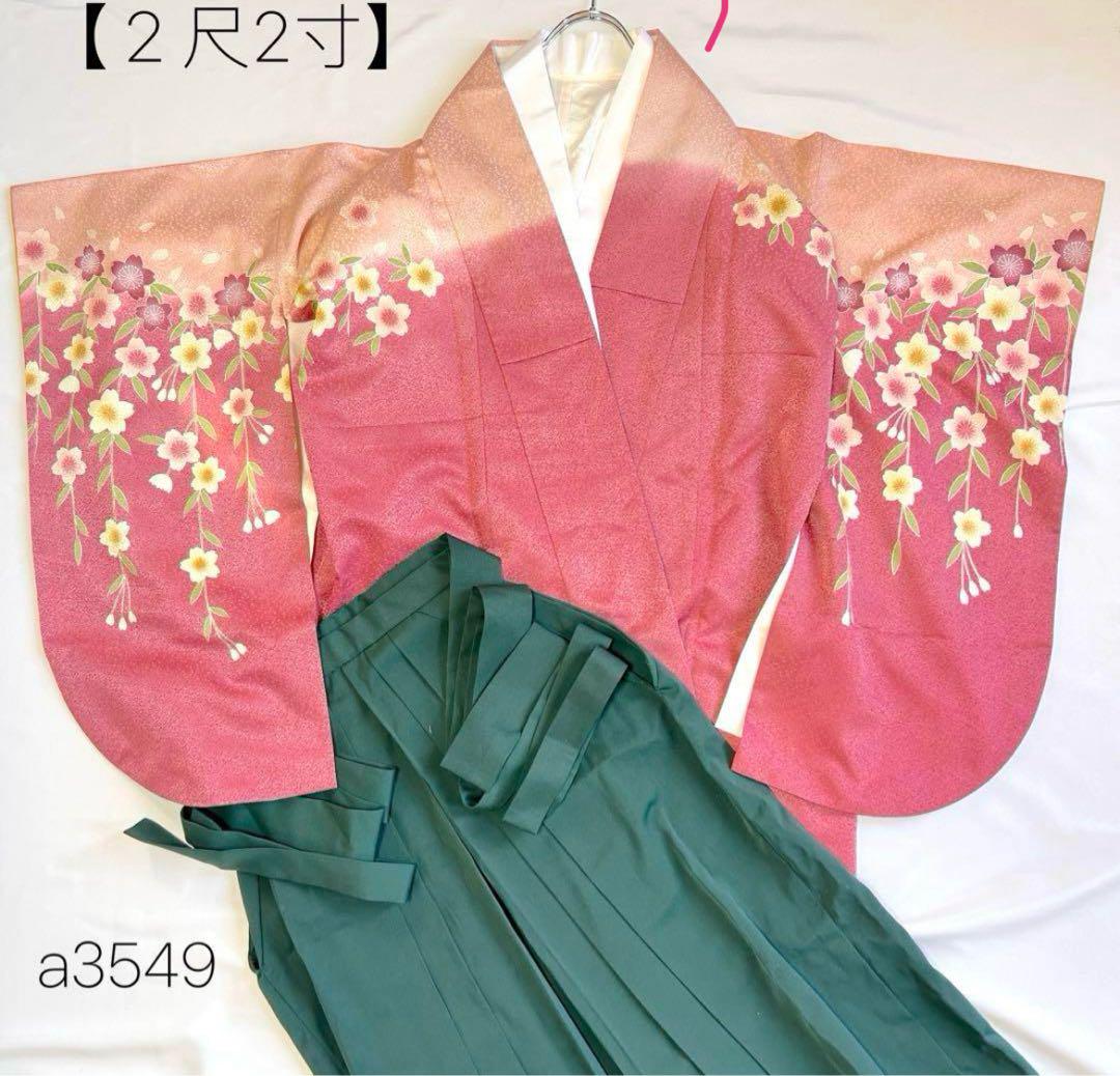 枝垂れ桜を揺らす風　袴4点セット【２尺2寸】長襦袢　卒業　フォーマル