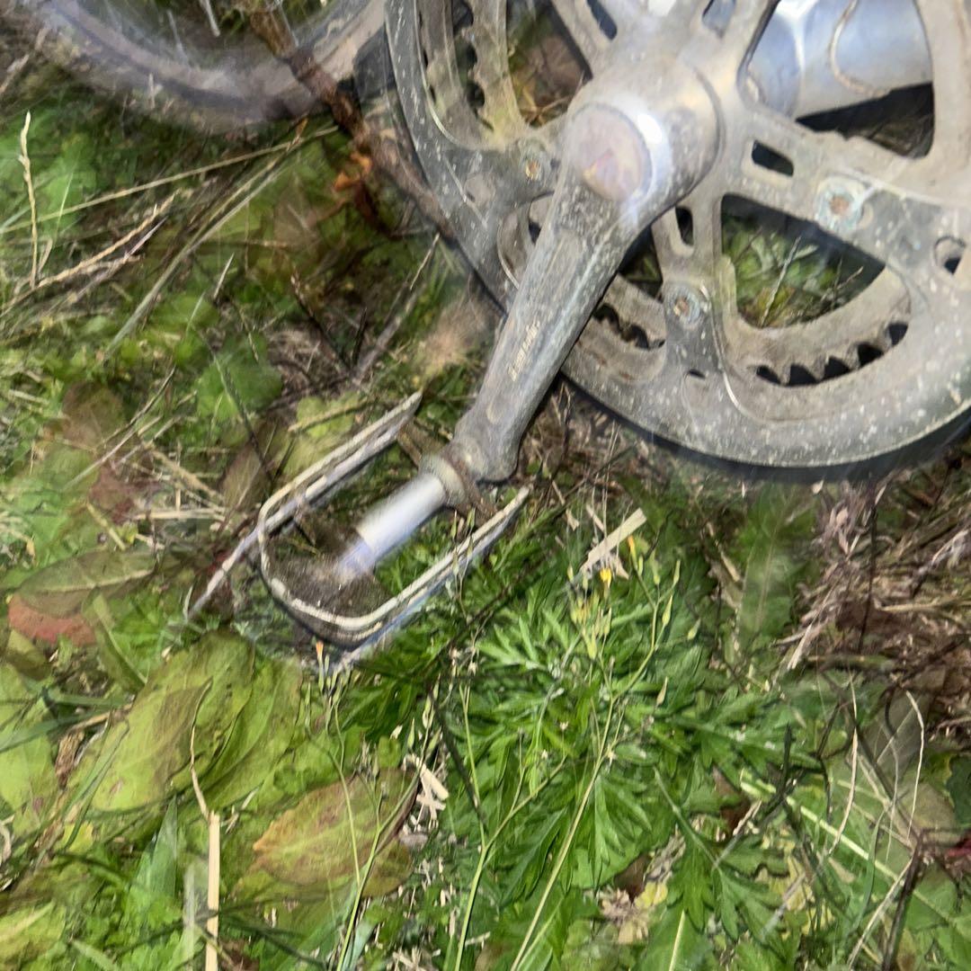 レトロなフジの自転車