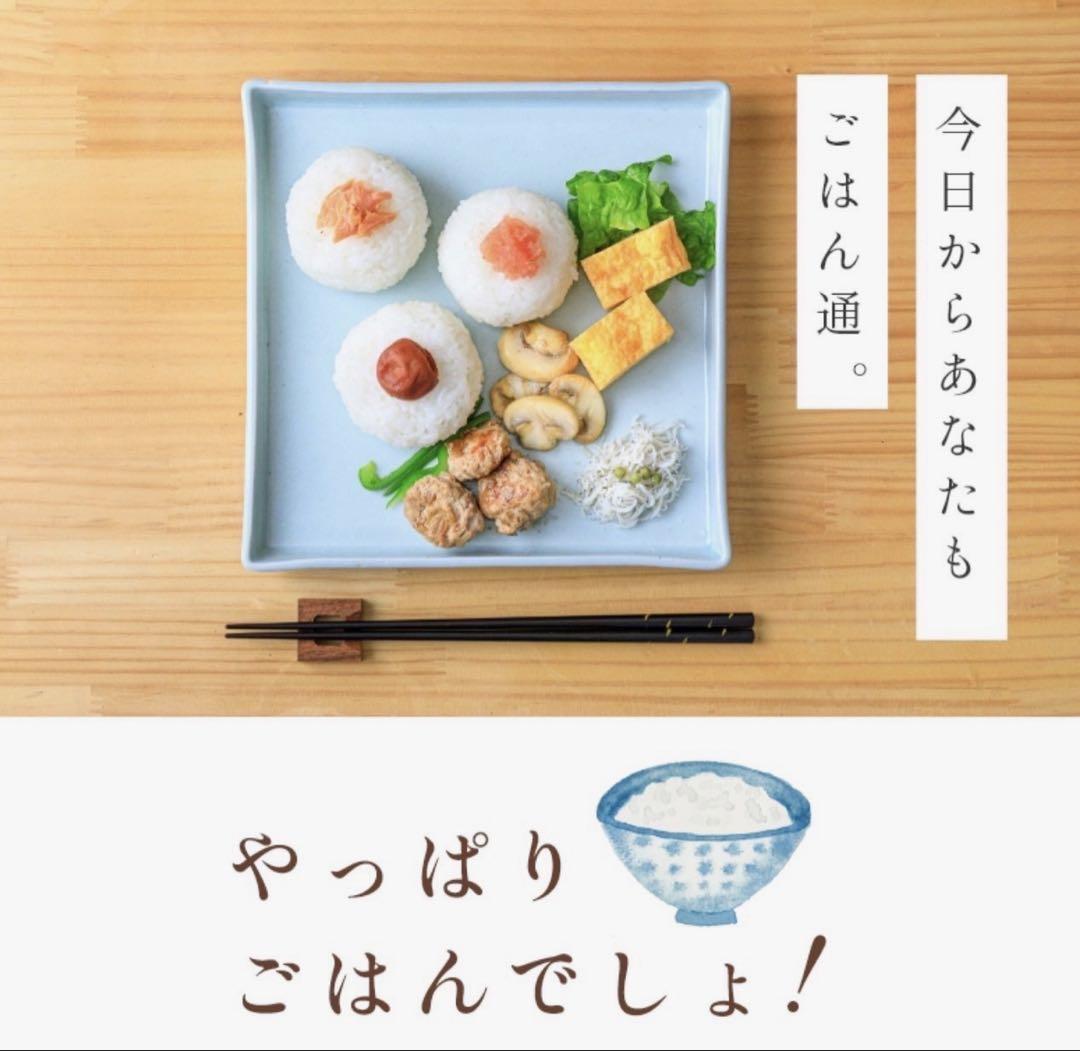 お米　精米【岩手県産銀河のしずく10kg 】（10kg×1) 7年連続特A！