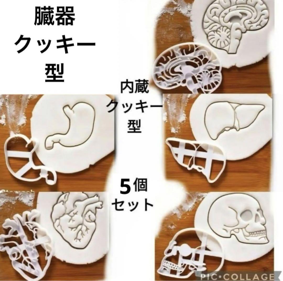 クッキー型 内臓 5個セット 臓器 型 クッキー 骸骨 心臓 バレンタイン n1