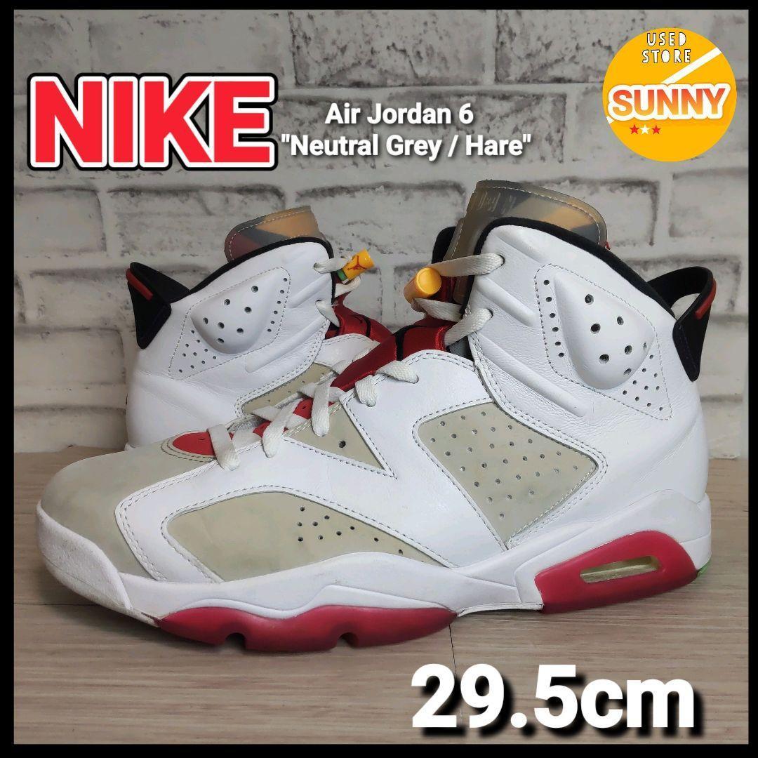 Nike Air Jordan 6 
