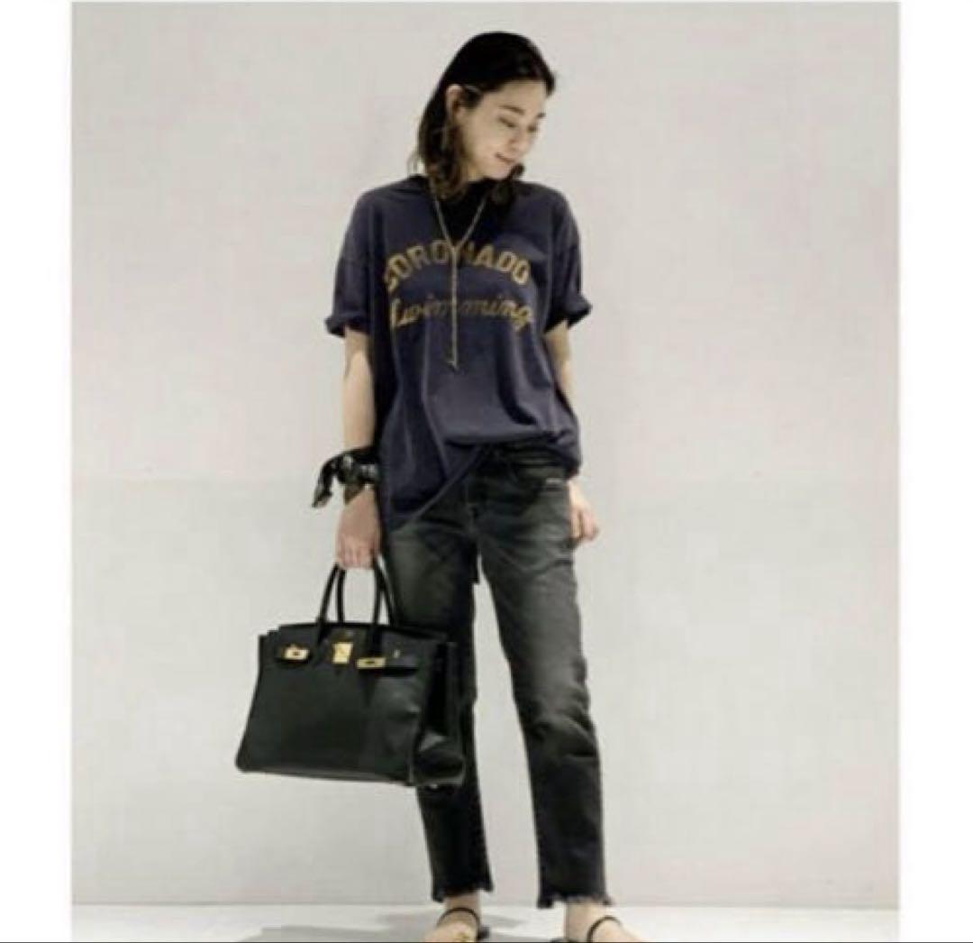 AP STUDIO アール ジュビリー CORONADO Tシャツ