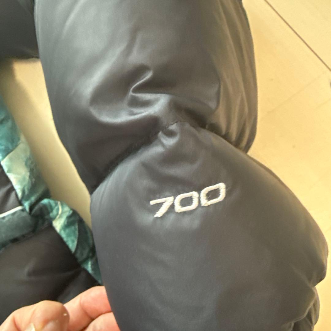 Supreme North Face 自由の女神 バルトロ M ダウンジャケット