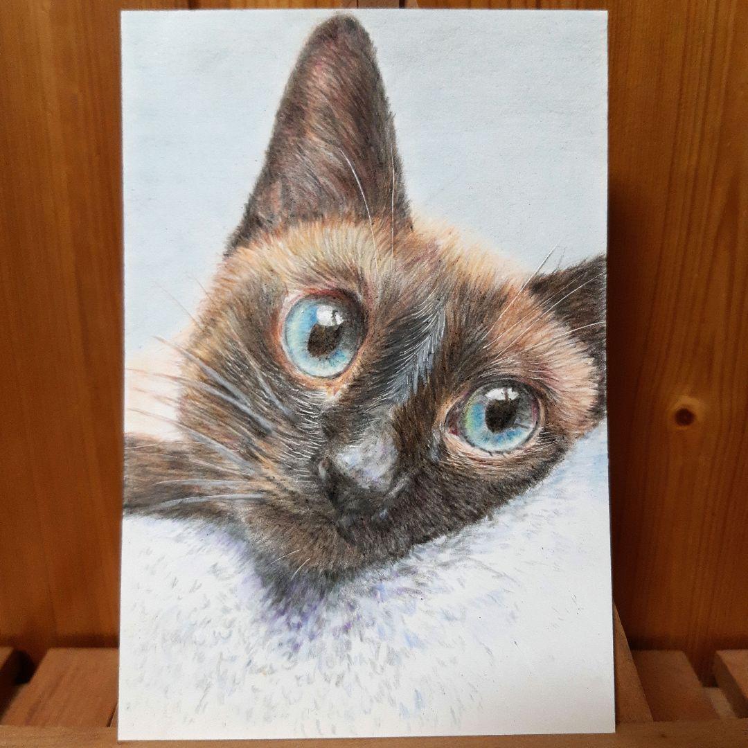 水彩アート「シャム猫と薔薇」手描き原画、1点物。送料無料