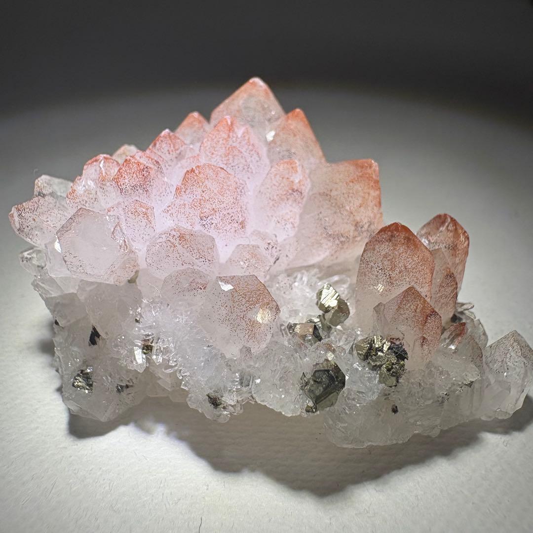 Hiroฅ^•ω•^ฅ様 リクエスト 2点 まとめ商品