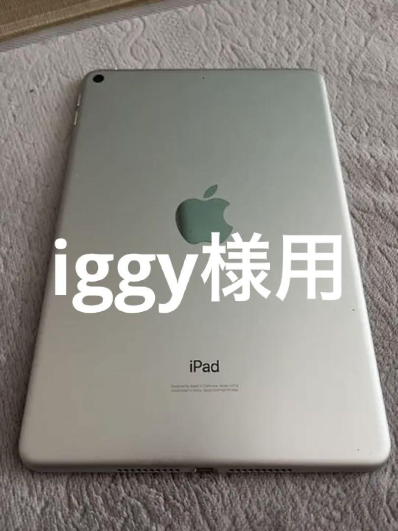 iPad mini５