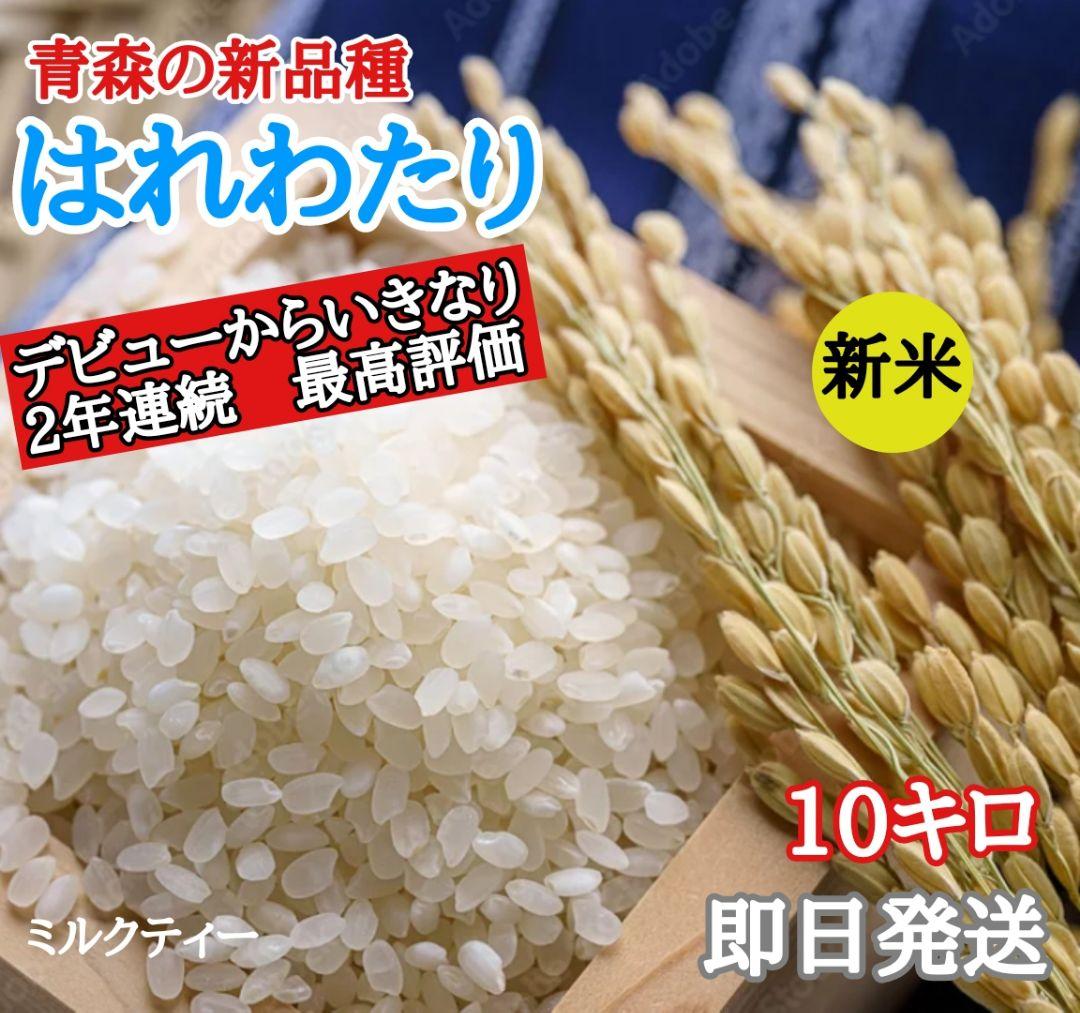 青森県産　最新種　はれわたり 10キロ 精米 お米　新米　白米　10kg