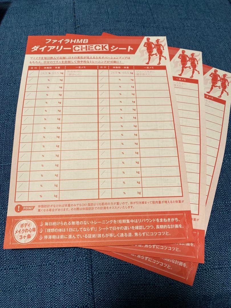 NEW限定品】 にゃんた様専用⭐︎まとめ大特価!Firaファイラ HMBサプリ