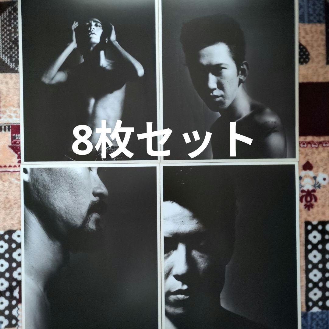 BOOWY 氷室京介 布袋寅泰 ポスター8枚セット LAST GIGS 松井常松目立った傷や汚れなし