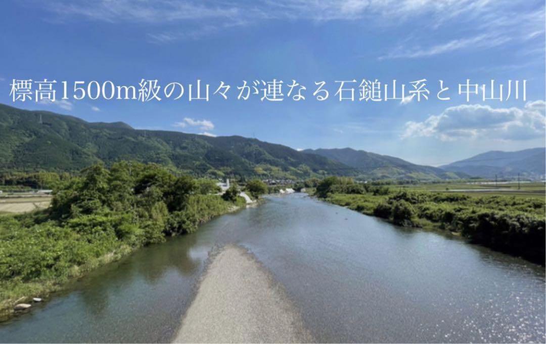 農薬化学肥料除草剤不使用　R5年度新米　愛媛県産にこまる　天日干し米  20kg