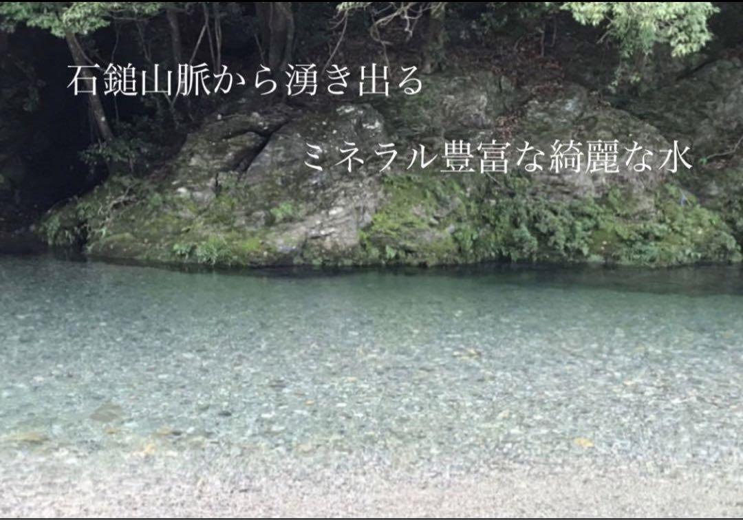 農薬化学肥料除草剤不使用　R5年度新米　愛媛県産にこまる　天日干し米  20kg