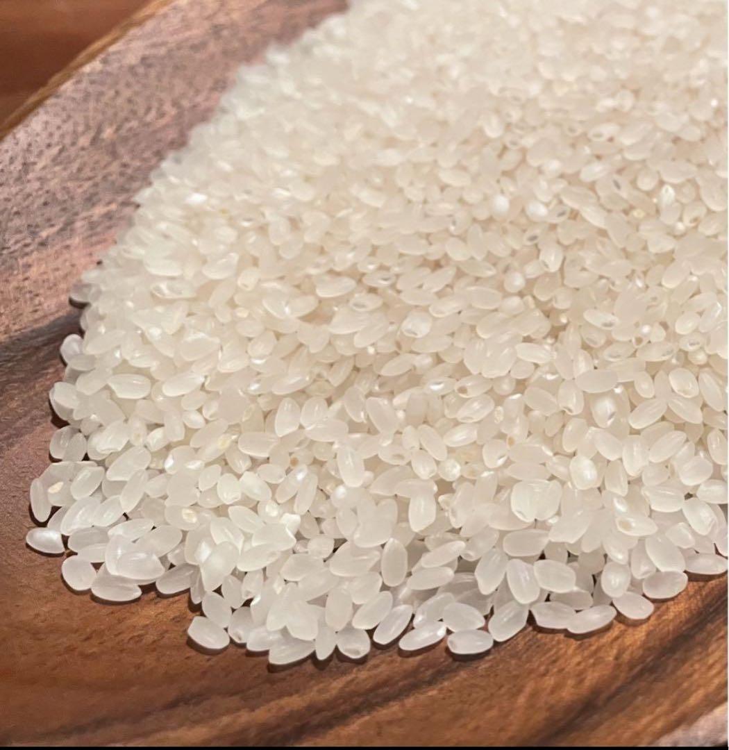 農薬化学肥料除草剤不使用　R5年度新米　愛媛県産にこまる　天日干し米  20kg