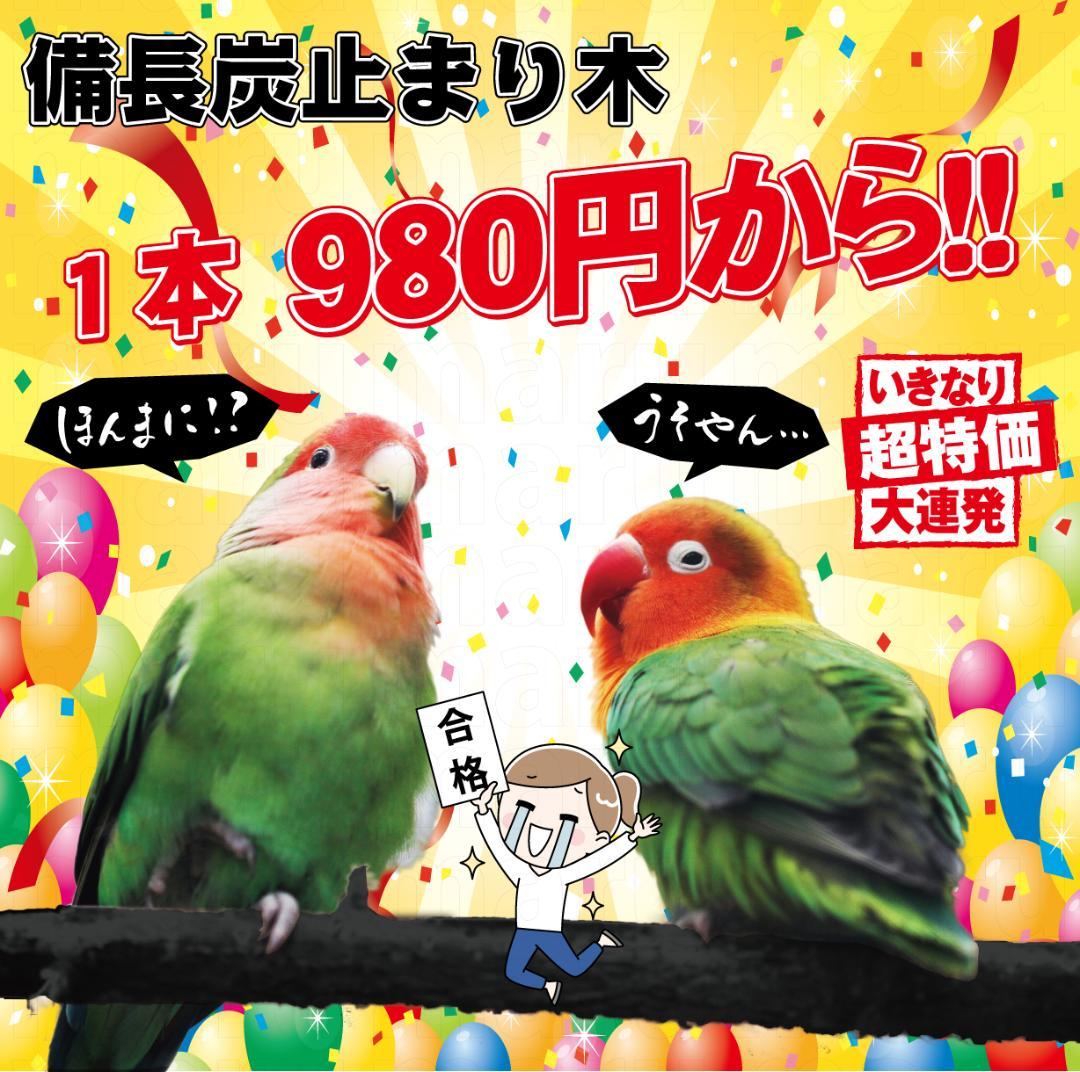 オーダー受付場所です 備長炭 止まり木 T字止まり木 インコ #止まり木