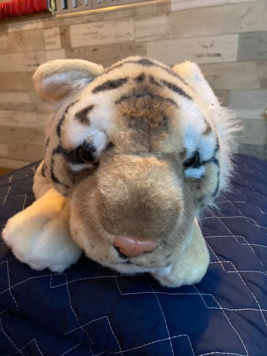 リアル 可愛い子トラ メルカリ