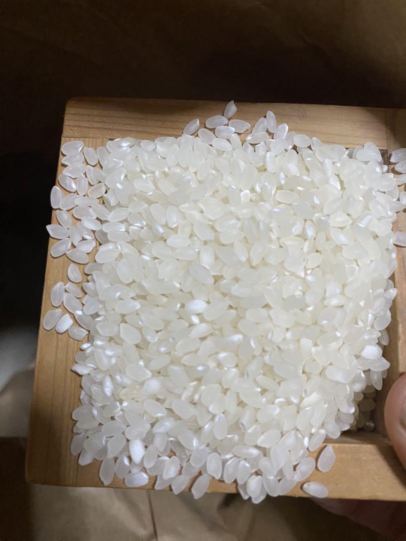 青森県産　ブランド米　まっしぐら　精米済み 農家直送 20キロ