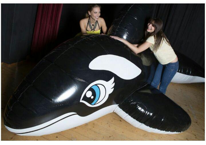 シャチ ブラック フロート 空気ビニール風船 浮き輪 レア 5m 空ビ 希少 新品即納 シャチ ブラック フロート 空気ビニール風船 浮き輪 レア 5m 空ビ キャラクターグッズ