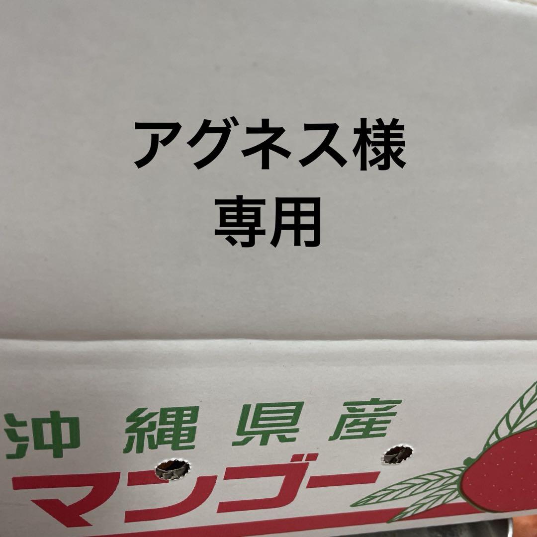 ミニマンゴー2箱