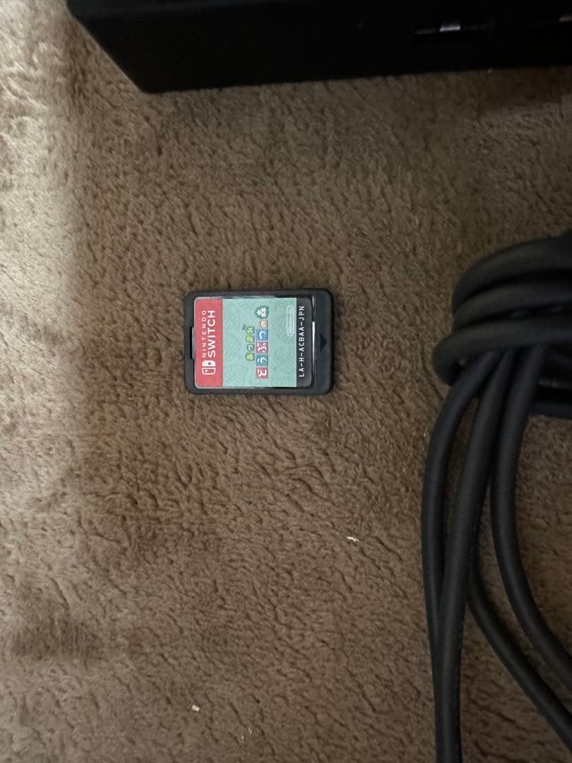 Nintendo Switch 本体 グリーン・ピンク 箱無し Nintendo Switch 本体 グリーン・ピンク 箱無し