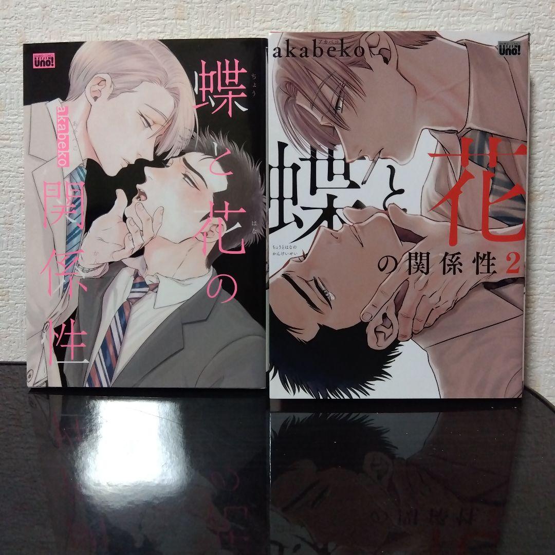 BL本シリーズ物まとめ売り　バラ可　バラ買い推奨