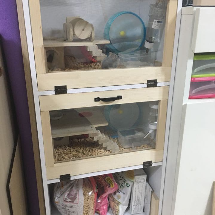 のサムネイル