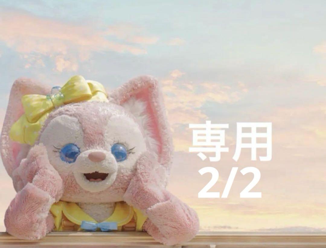 専用ページ2/2