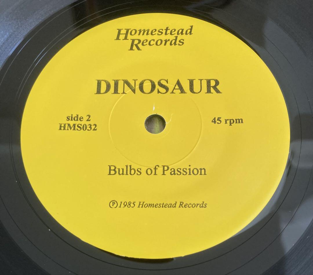 ■轟音7インチシングル/高音質オリジナル盤■DINOSAUR JR. / ダイナ □轟音7インチシングル/高音質オリジナル盤□DINOSAUR JR. / DIN