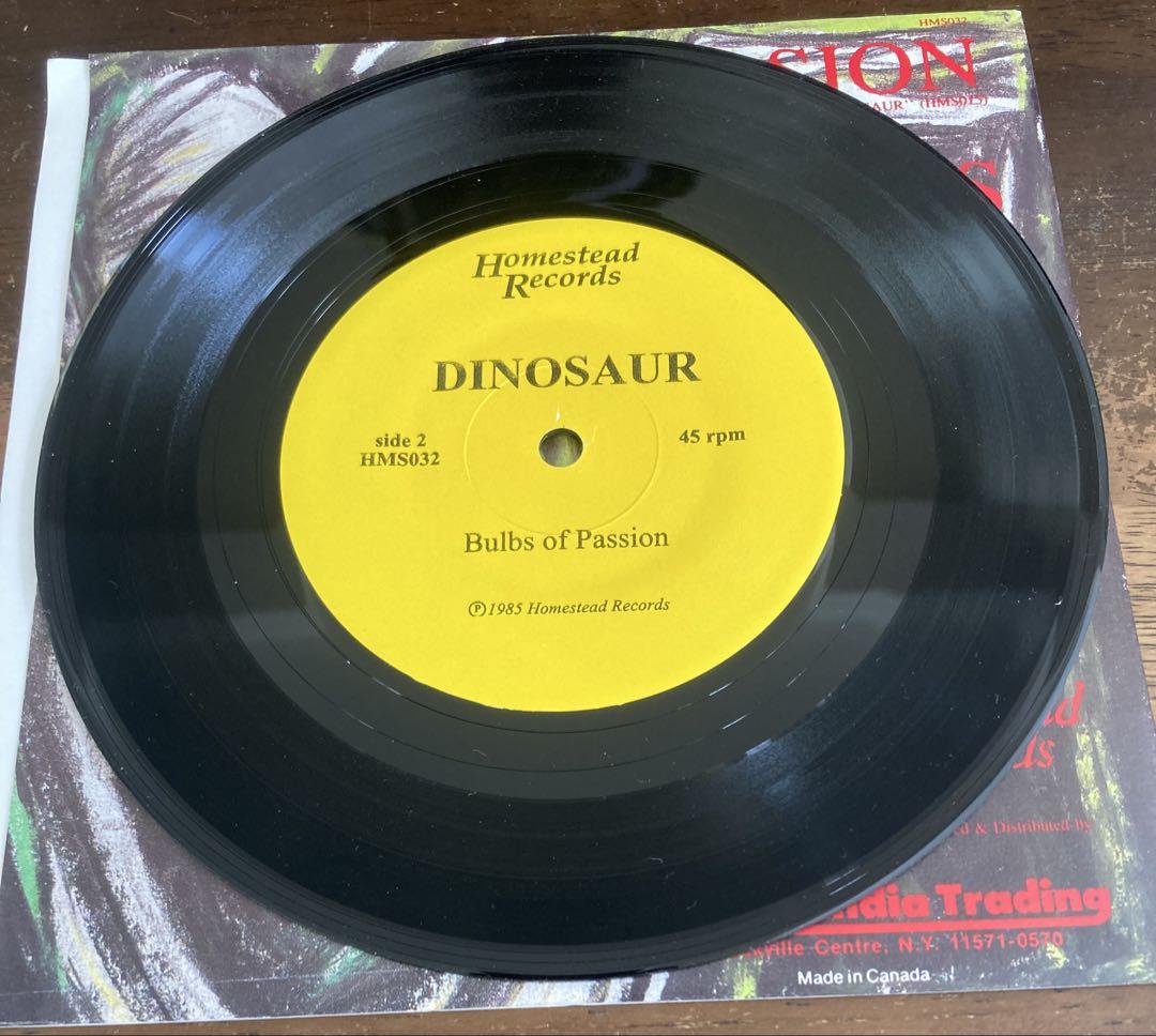 【正規逆輸入品】 □轟音7インチシングル/高音質オリジナル盤□DINOSAUR JR. DIN / 洋楽