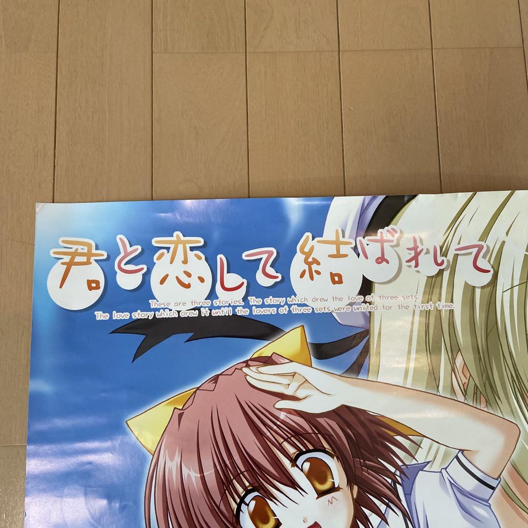 君と恋して結ばれて、ストライプ、陽だまりのはなポスター 4枚セット