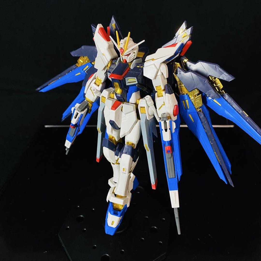 RG 機動戦士ガンダムSEED ストライクフリーダム デスティニー ルージュ