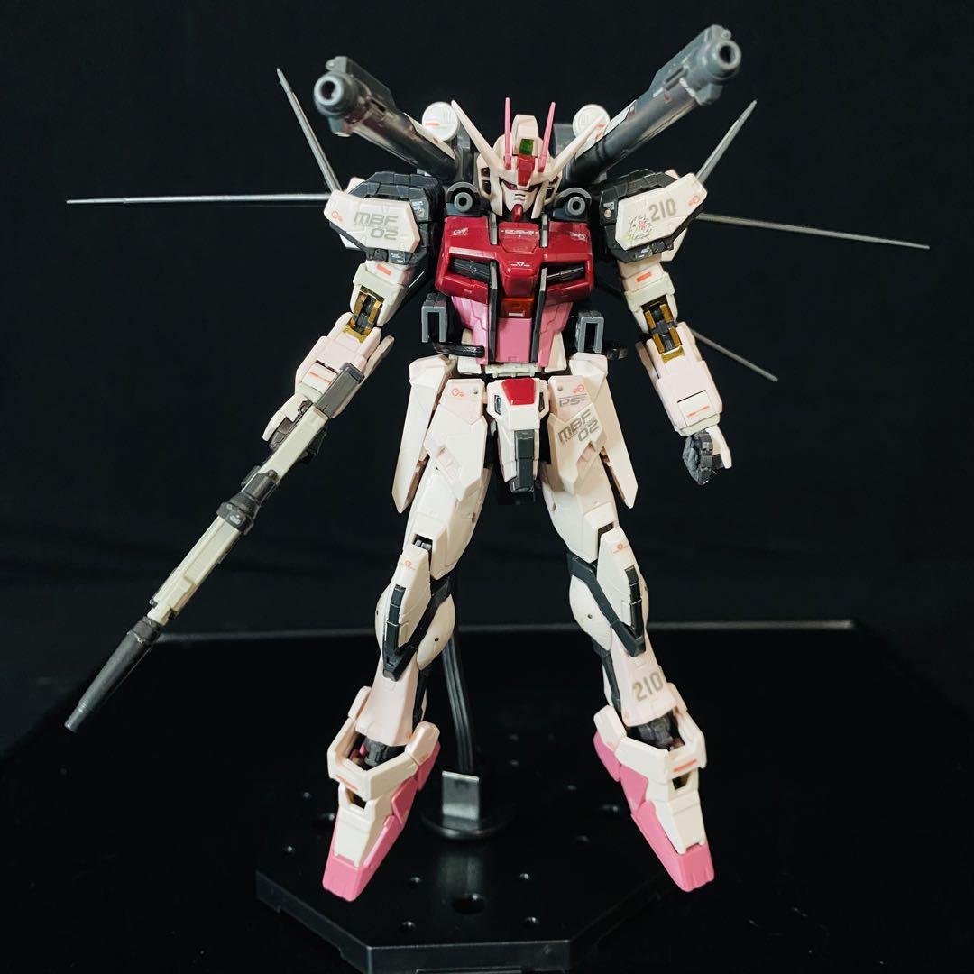 RG 機動戦士ガンダムSEED ストライクフリーダム デスティニー ルージュ