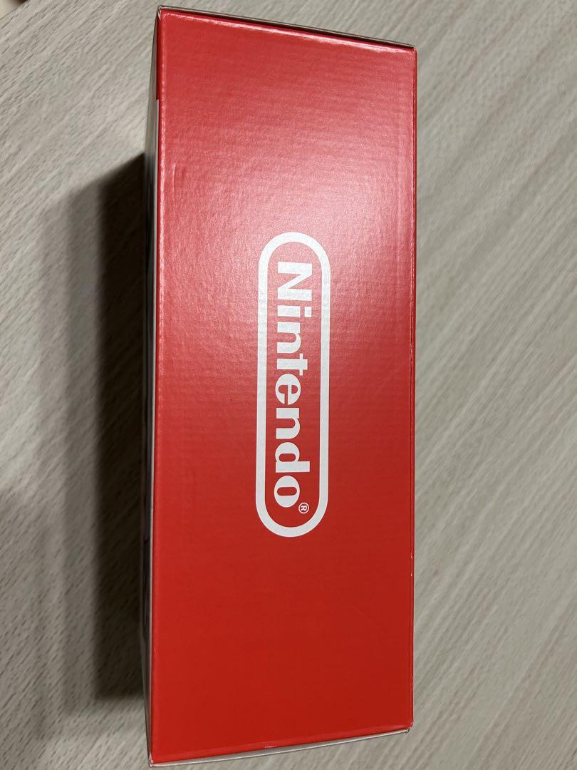 Nintendo Switch Lite グレー 本体 ACアダプター付き 美品