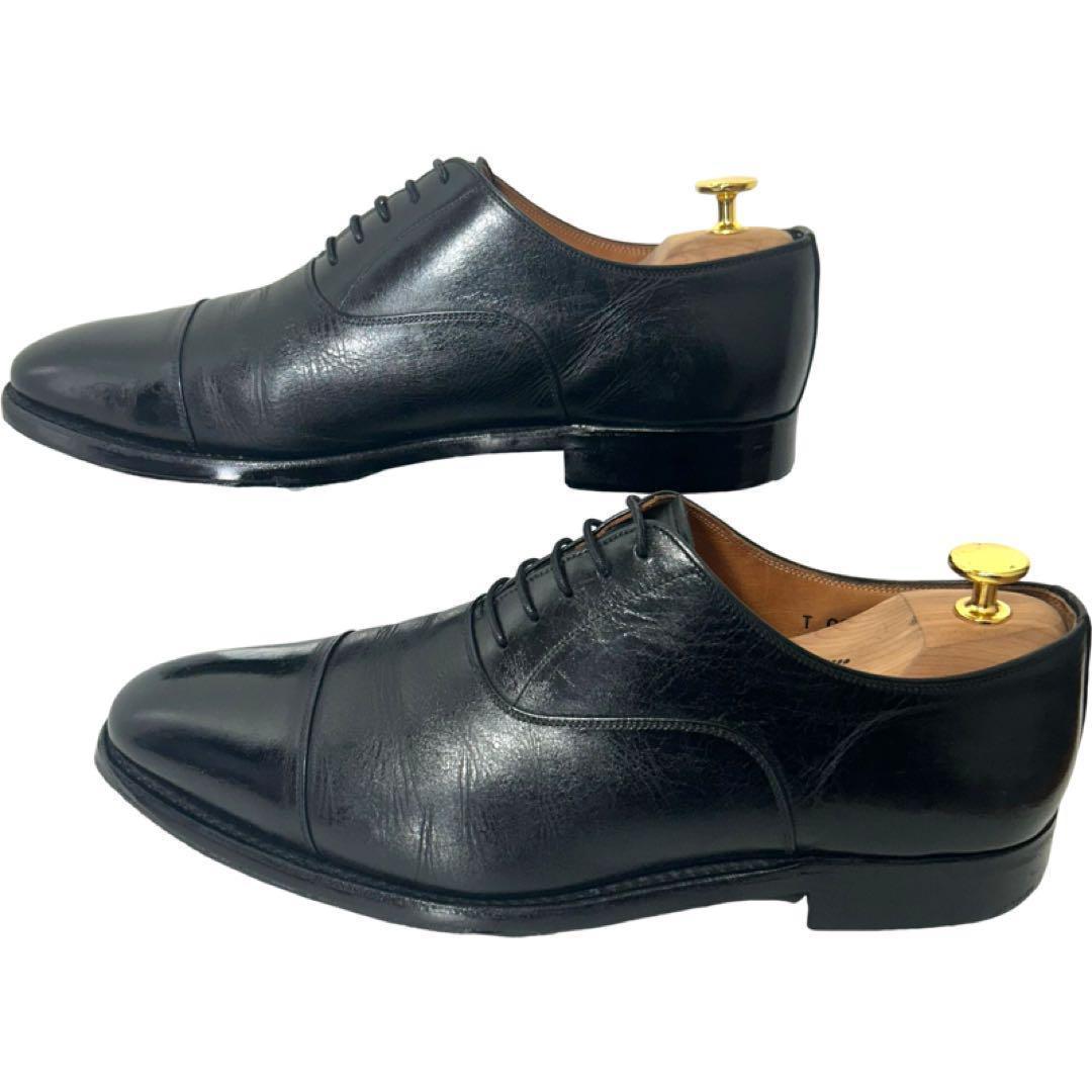 SCOTCH GRAIN ストレートチップ　T 0326 26cm