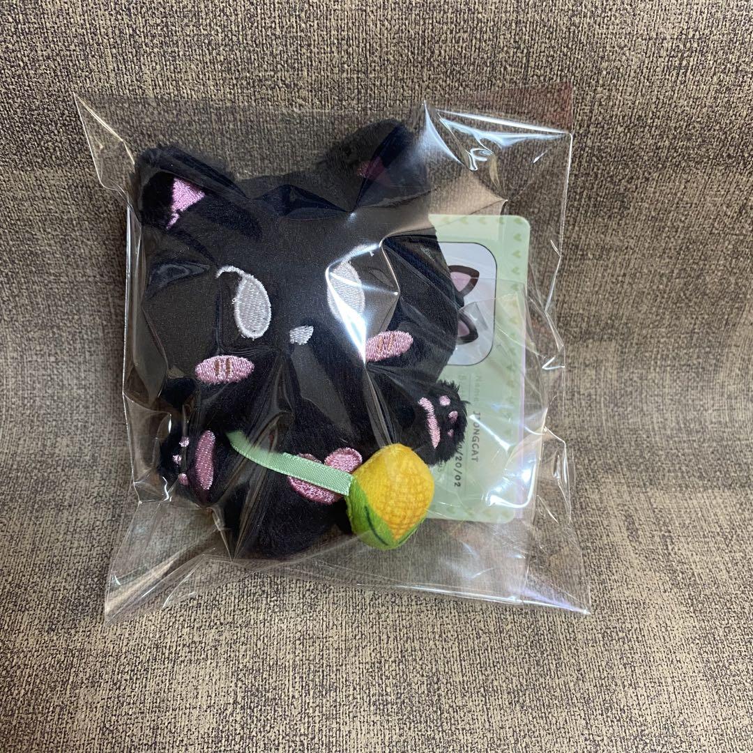 enhpyen ジェイ　10cm ぬいぐるみ　新品　マスター