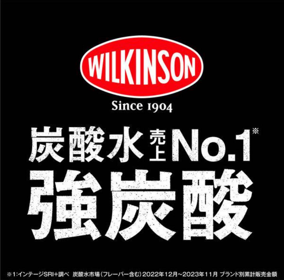 【工場直送】ウィルキンソン タンサン レモン 48本 2 ケース販売