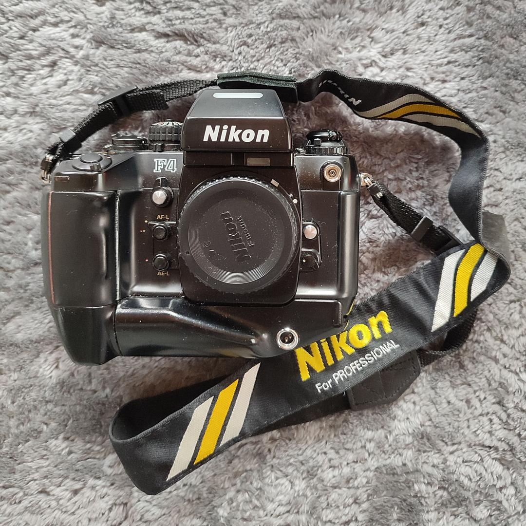 新着商品Nikon F4 MF-22 フィルムカメラ フィルムカメラ 家電・スマホ・カメラ¥13,500-www.diseo.ma 新着商品Nikon F4 MF-22 フィルムカメラ フィルムカメラ 家電・スマホ・カメラ¥13,500-www.diseo.ma
