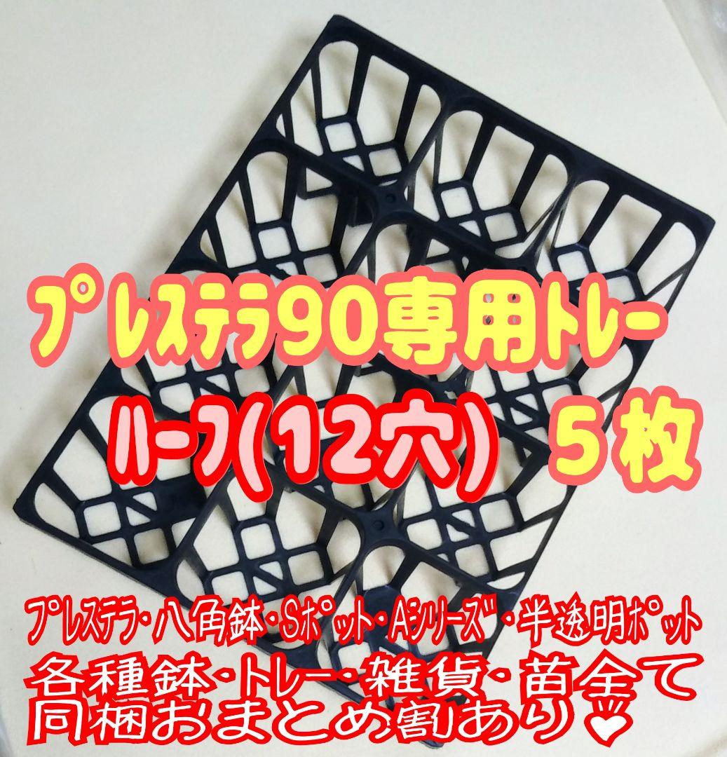 激安通販の プレステラ90白48個 専用システムトレー:ハーフ4枚他プラ鉢多肉 www.anavara.com 激安通販の プレステラ90白48個 専用システムトレー:ハーフ4枚他プラ鉢多肉 www.anavara.com